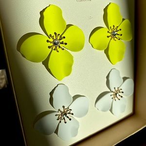 Gorgeous studded Earrings